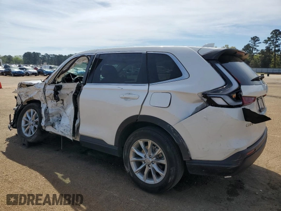 2024 Honda CR-V EX-L with VIN 2HKRS3H76RH316801, listed as a Copart auction lot 50638375 with Not Provided miles and Salvage Title. Bid and sale history available at DreamBid. Image 2.