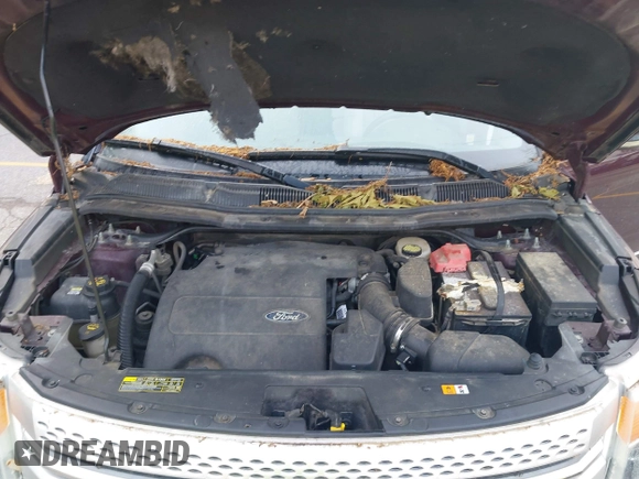2011 Ford Explorer XLT with VIN 1FMHK8D89BGA15131, listed as a IAAI auction lot 42463546 with 249,388 mi miles and . Bid and sale history available at DreamBid. Image 10.