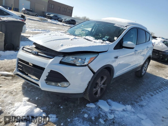 2015 Ford Escape SE with VIN 1FMCU9G99FUA96766, listed as a Copart auction lot 41449035 with 160,008 mi miles and Salvage Title. Bid and sale history available at carsss.com. Image 1.