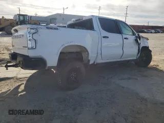 2021 Chevrolet Silverado 1500 Custom Trail Boss with VIN 1GCPYCEF2MZ280981, listed as a Copart auction lot 49270005 with Not Provided miles and Salvage Title. Bid and sale history available at DreamBid. Image 3.