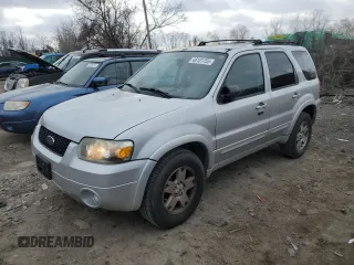 2007 Ford Escape Limited with VIN 1FMCU041X7KA29911, listed as a Copart auction lot 46101755 with 252,539 mi miles and Non repairable. Bid and sale history available at DreamBid. Image 1.