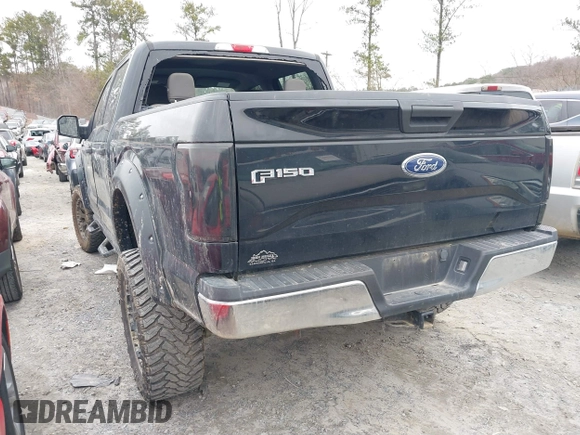 2017 Ford F-150 XL with VIN 1FTEW1EF8HFC36816, listed as a IAAI auction lot 41481007 with 100,828 mi miles. Bid and sale history available at carsss.com. Image 3.