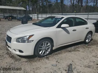 2010 Nissan Maxima 3.5 SV w/Premium Pkg with VIN 1N4AA5AP1AC844354, listed as a Copart auction lot 49237155 with 177,744 mi miles and Salvage Title. Bid and sale history available at carsss.com. Image 1.