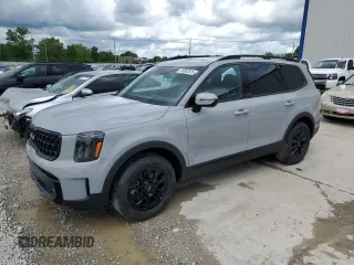 2024 Kia Telluride SX X-Line with VIN 5XYP5DGC3RG486771, listed as a Copart auction lot 55603525 with 14,188 mi miles and Salvage title. Bid and sale history available at DreamBid. Image 1.