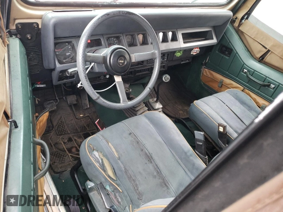 1993 Jeep Wrangler with VIN 1J4FY29S4PP227609, listed as a Copart auction lot 78205764 with 197,549 mi miles and Salvage Title. Bid and sale history available at carsss.com. Image 8.