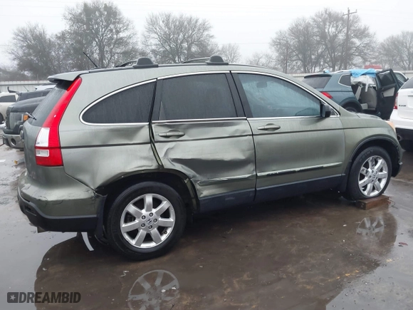2009 Honda CR-V EX-L with VIN JHLRE38709C007153, listed as a IAAI auction lot 41443864 with 259,822 mi miles. Bid and sale history available at carsss.com. Image 6.
