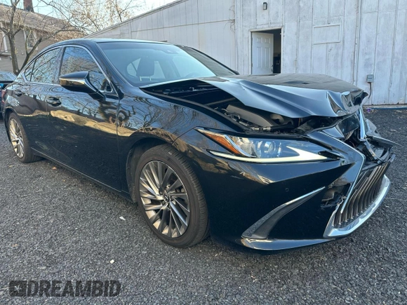 2019 Lexus ES 350 with VIN JTHBZ1B16K2003291, listed as a Copart auction lot 51746915 with 37,347 mi miles and Clean Title. Bid and sale history available at DreamBid. Image 4.