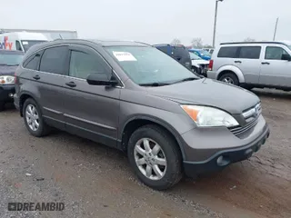 2009 Honda CR-V EX with VIN 5J6RE485X9L036252, listed as a IAAI auction lot 42017954 with 216,225 mi miles. Bid and sale history available at carsss.com. Image 1.