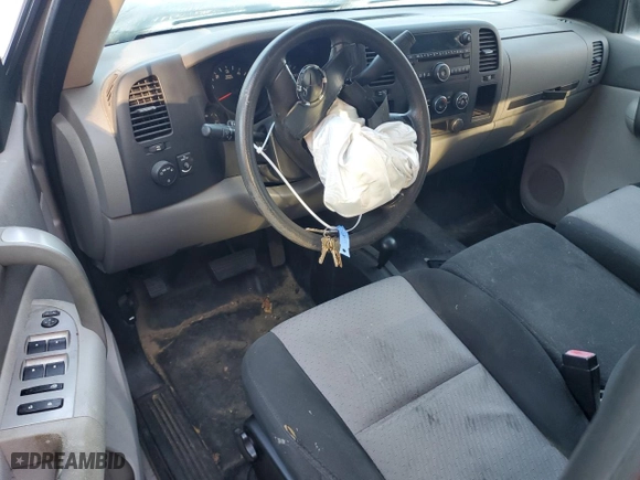 2009 Chevrolet Silverado 1500 Work Truck with VIN 1GCEK19C09Z117850, listed as a Copart auction lot 76186004 with 0 mi miles and Salvage Title. Bid and sale history available at carsss.com. Image 8.