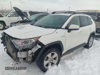 2019 Toyota RAV4 Hybrid XLE with VIN JTMRWRFV8KD004029, listed as a Copart auction lot 48261625 with 0 mi miles and Salvage Title. Bid and sale history available at carsss.com. Image 1.