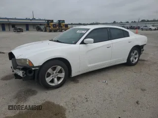 2014 Dodge Charger SE with VIN 2C3CDXBG9EH129799, listed as a Copart auction lot 50556275 with 167,061 mi miles and Salvage Title. Bid and sale history available at DreamBid. Image 1.