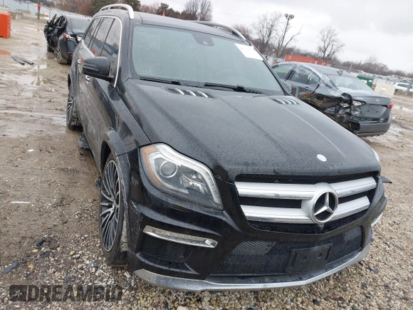 2014 Mercedes-Benz GL-Class GL 550 with VIN 4JGDF7DE1EA274612, listed as a IAAI auction lot 41710174 with 105,094 mi miles. Bid and sale history available at carsss.com. Image 12.