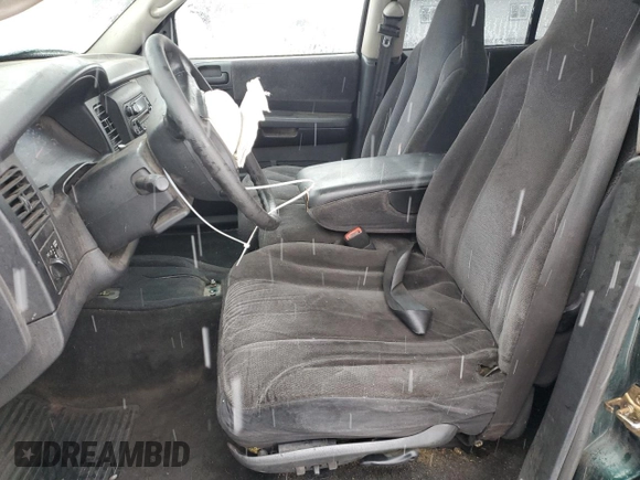 2002 Dodge Dakota SLT с VIN 1B7HG48N12S614309, выставлен на аукционе Copart как лот 87309554 с пробегом 287 994 миль миль и Списание • Salvage title. История ставок и продаж доступна на DreamBid. Изображение 7.
