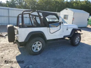 1993 Jeep Wrangler with VIN 1J4FY29S8PP227368, listed as a Copart auction lot 74816224 with 120,269 mi miles and Salvage Title. Bid and sale history available at carsss.com. Image 3.