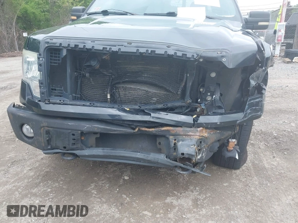 2010 Ford F-150 XL with VIN 1FTFX1EV3AFB59948, listed as a IAAI auction lot 42282930 with 179,930 mi miles and . Bid and sale history available at DreamBid. Image 6.