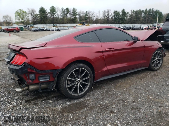 2019 Ford Mustang EcoBoost с VIN 1FA6P8TH0K5179223, выставлен на аукционе Copart как лот 52871575 с пробегом 81 620 миль миль и Списание • Salvage title. История ставок и продаж доступна на DreamBid. Изображение 3.