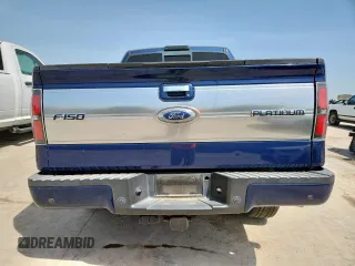 2009 Ford F-150 XL with VIN 1FTPW12V19FA04273, listed as a Copart auction lot 64961855 with Not provided miles and Salvage title. Bid and sale history available at DreamBid. Image 6.