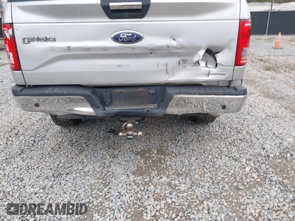 2016 Ford F-150 XLT with VIN 1FTEW1EF1GFB41139, listed as a IAAI auction lot 41867138 with 133,256 mi miles. Bid and sale history available at carsss.com. Image 17.