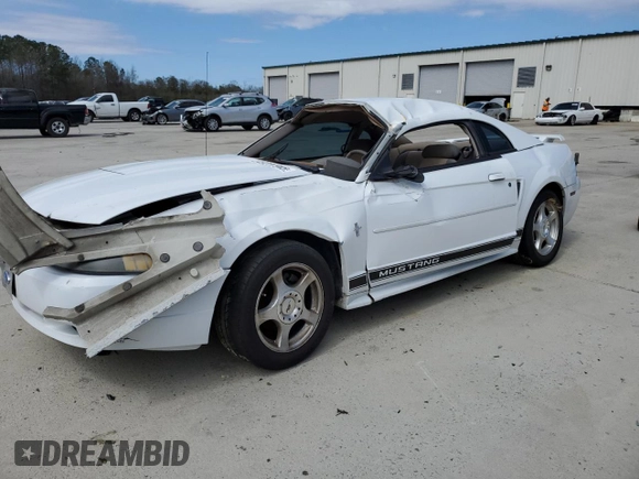 2003 Ford Mustang Standard with VIN 1FAFP40493F427703, listed as a Copart auction lot 49207945 with 0 mi miles and Salvage Title. Bid and sale history available at carsss.com. Image 1.