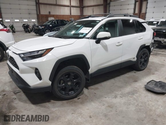 2023 Toyota RAV4 Hybrid XLE with VIN 2T3UWRFV1PW156948, listed as a IAAI auction lot 41556334 with 21,196 mi miles. Bid and sale history available at carsss.com. Image 2.