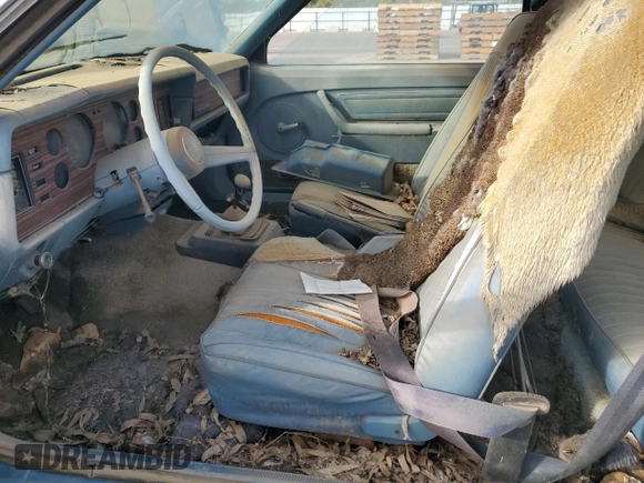 1979 Ford Mustang z VIN 9R02W117623, wystawiony jako Copart lot #79574824 z przebiegiem 41 434 mil mil oraz Czysty tytuł • Clean title. Historia ofert i sprzedaży dostępna na DreamBid. Obrazek 7.