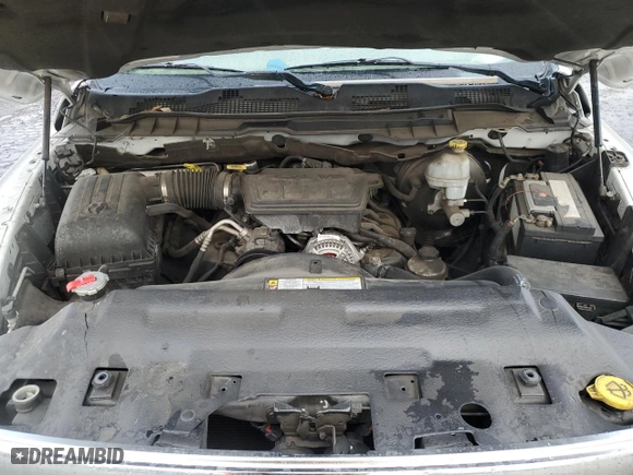 2010 Dodge Ram 1500 SLT with VIN 1D7RB1GP0AS182224, listed as a Copart auction lot 44581735 with 207,531 mi miles and Salvage Title. Bid and sale history available at carsss.com. Image 12.
