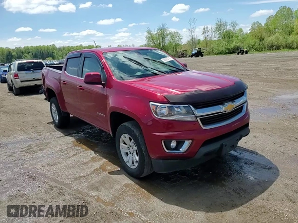 2019 Chevrolet Colorado 4WD LT with VIN 1GCGTCEN9K1316389, listed as a Copart auction lot 56095715 with 96,237 mi miles and Salvage title. Bid and sale history available at DreamBid. Image 13.