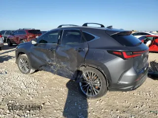 2023 Lexus NX 350h Luxury with VIN 2T2HKCEZ5PC014073, listed as a Copart auction lot 43215295 with Not Provided miles and Salvage Title. Bid and sale history available at DreamBid. Image 2.