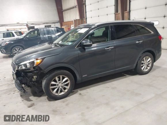 2017 Kia Sorento LX with VIN 5XYPGDA38HG250523, listed as a IAAI auction lot 41965678 with 100,794 mi miles. Bid and sale history available at carsss.com. Image 20.