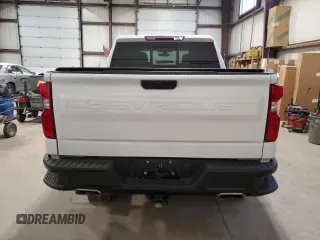 2019 Chevrolet Silverado 1500 LT Trail Boss with VIN 1GCPYFED3KZ176691, listed as a Copart auction lot 80933434 with 115,087 mi miles and Salvage Title. Bid and sale history available at DreamBid. Image 6.