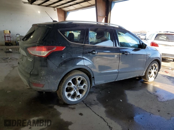 2014 Ford Escape Titanium with VIN 1FMCU0JX2EUD08165, listed as a Copart auction lot 89318205 with 134,721 mi miles and Salvage Title. Bid and sale history available at carsss.com. Image 3.