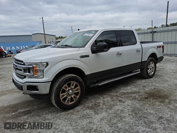 2019 Ford F-150 XL with VIN 1FTEW1E57KFB00501, listed as a Copart auction lot 49469185 with 251,210 mi miles and Clean Title. Bid and sale history available at carsss.com. Image 1.