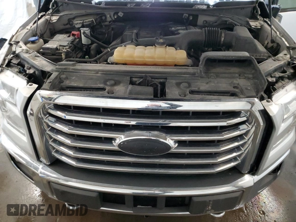 2017 Ford F-150 XL with VIN 1FTEW1EP1HFA55842, listed as a Copart auction lot 45715775 with 141,732 mi miles and Salvage Title. Bid and sale history available at carsss.com. Image 13.