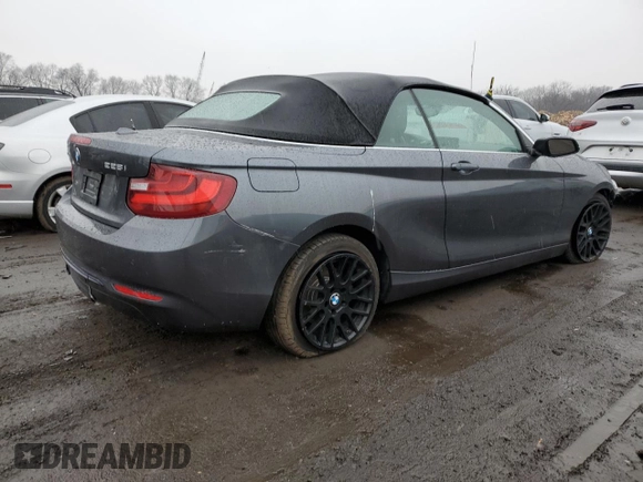 2016 BMW 2 Series 228i xDrive with VIN WBA1L9C5XGV325028, listed as a Copart auction lot 42932235 with 42,227 mi miles and Salvage Title. Bid and sale history available at carsss.com. Image 3.