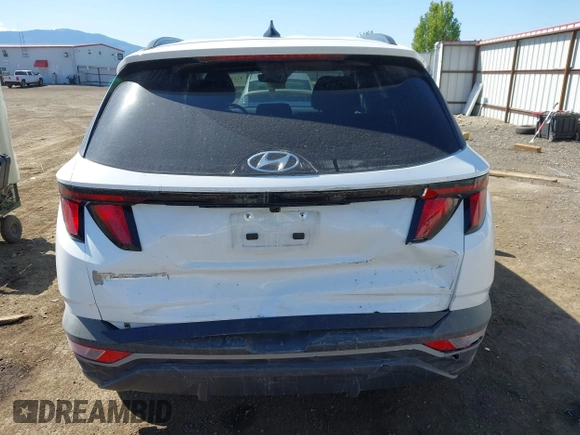 2024 Hyundai Tucson SEL with VIN 5NMJB3DE8RH421998, listed as a IAAI auction lot 42217680 with 18,876 mi miles and . Bid and sale history available at DreamBid. Image 17.