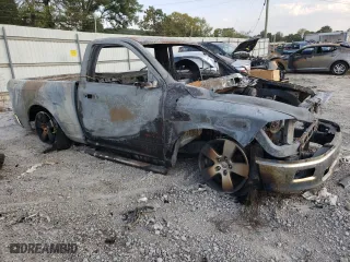 2010 Dodge Ram 1500 Sport with VIN 3D7JV1ETXAG106456, listed as a Copart auction lot 69256534 with 0 mi miles and Non Repairable. Bid and sale history available at carsss.com. Image 4.