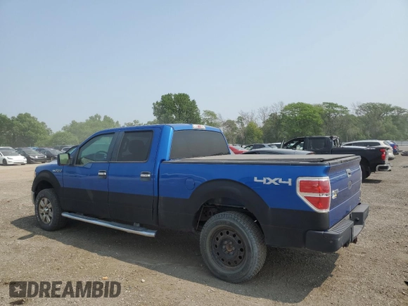 2010 Ford F-150 XL with VIN 1FTFW1EV5AFC24964, listed as a Copart auction lot 59233005 with 212,453 mi miles and Clean title. Bid and sale history available at DreamBid. Image 2.