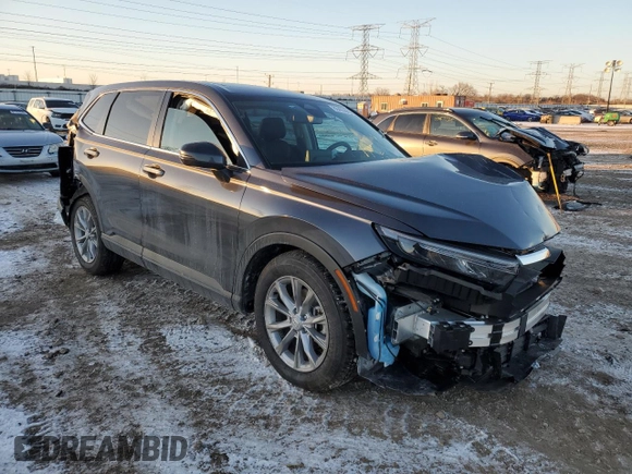 2025 Honda CR-V EX with VIN 7FARS4H46SE005065, listed as a Copart auction lot 88403065 with Not Provided miles and Salvage Title. Bid and sale history available at DreamBid. Image 4.
