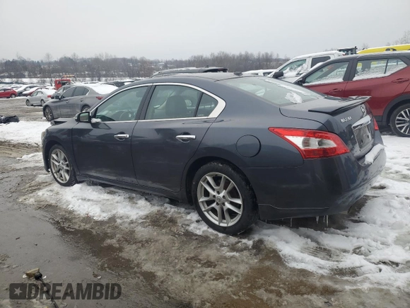 2009 Nissan Maxima SV with VIN 1N4AA51E79C830551, listed as a Copart auction lot 86304844 with 184,949 mi miles and Salvage Title. Bid and sale history available at DreamBid. Image 2.