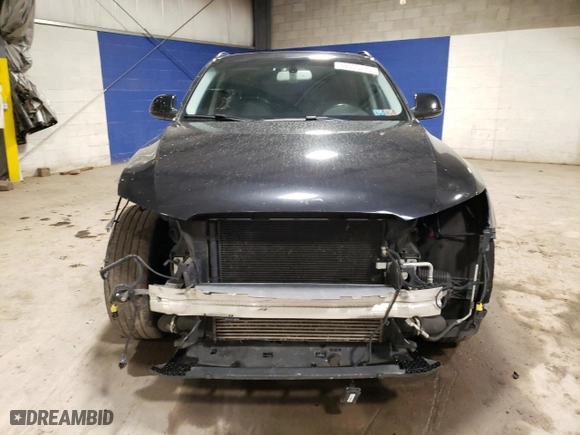 2013 Audi Q5 Premium Plus with VIN WA1LFAFP2DA011968, listed as a Copart auction lot 43005775 with 126,231 mi miles and Salvage Title. Bid and sale history available at carsss.com. Image 5.