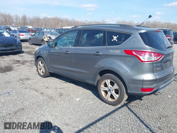 2014 Ford Escape SE with VIN 1FMCU9G98EUD26411, listed as a IAAI auction lot 41686493 with 132,644 mi miles. Bid and sale history available at carsss.com. Image 3.