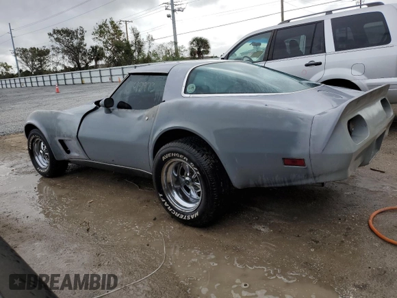 1979 Chevrolet Corvette with VIN 1Z8789S417643, listed as a Copart auction lot 79934384 with 48,973 mi miles and Salvage title. Bid and sale history available at DreamBid. Image 2.