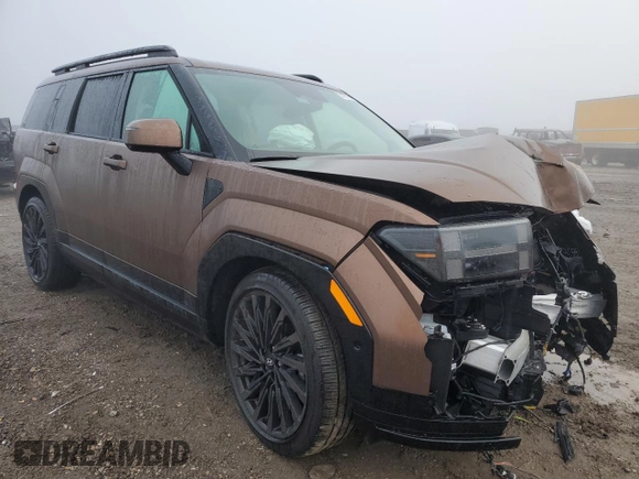 2024 Hyundai Santa Fe Calligraphy with VIN 5NMP5DGLXRH019627, listed as a Copart auction lot 84737354 with 3,873 mi miles and Salvage title. Bid and sale history available at DreamBid. Image 4.