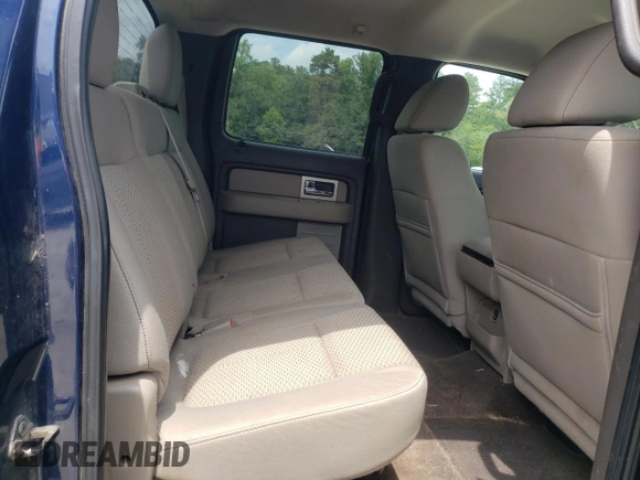 2010 Ford F-150 XL with VIN 1FTFW1EV8AFD94459, listed as a Copart auction lot 60367055 with 177,775 mi miles and Salvage title. Bid and sale history available at DreamBid. Image 10.