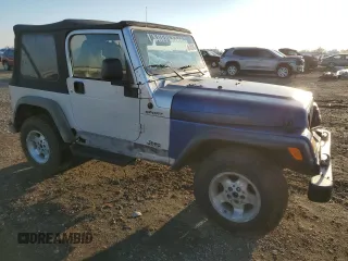 2003 Jeep Wrangler Sport with VIN 1J4FA49S03P313901, listed as a Copart auction lot 46100245 with 61,335 mi miles and Clean Title. Bid and sale history available at carsss.com. Image 4.