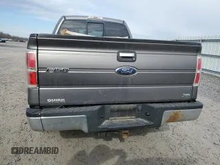 2010 Ford F-150 XL with VIN 1FTFX1EV0AFD15024, listed as a Copart auction lot 45851565 with 164,712 mi miles and Salvage Title. Bid and sale history available at DreamBid. Image 6.