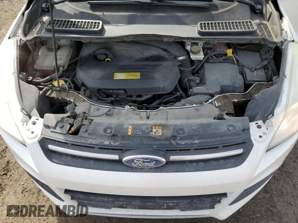 2013 Ford Escape SE with VIN 1FMCU0GXXDUB72731, listed as a Copart auction lot 49289405 with 326,548 mi miles and Clean Title. Bid and sale history available at DreamBid. Image 12.