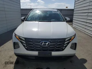 2024 Hyundai Tucson SEL with VIN 5NMJBCDE4RH385954, listed as a Copart auction lot 53920495 with 25,365 mi miles and Clean Title. Bid and sale history available at carsss.com. Image 5.
