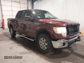2010 Ford F-150 XL with VIN 1FTFW1EV3AFD89198, listed as a IAAI auction lot 42425921 with 174,410 mi miles and . Bid and sale history available at DreamBid. Image 1.