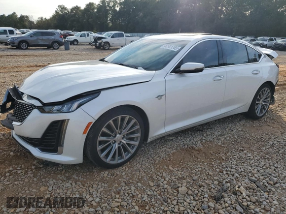 2021 Cadillac CT5 Premium Luxury with VIN 1G6DN5RK2M0125904, listed as a Copart auction lot 42701785 with 76,215 mi miles and Salvage title. Bid and sale history available at DreamBid. Image 1.